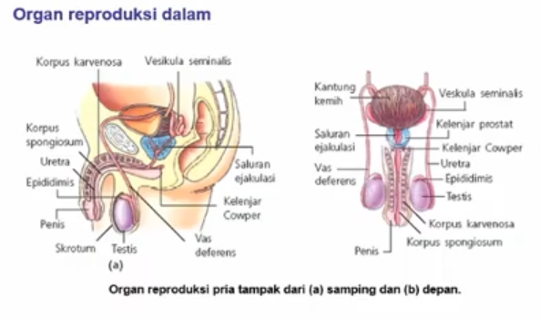 Gambar