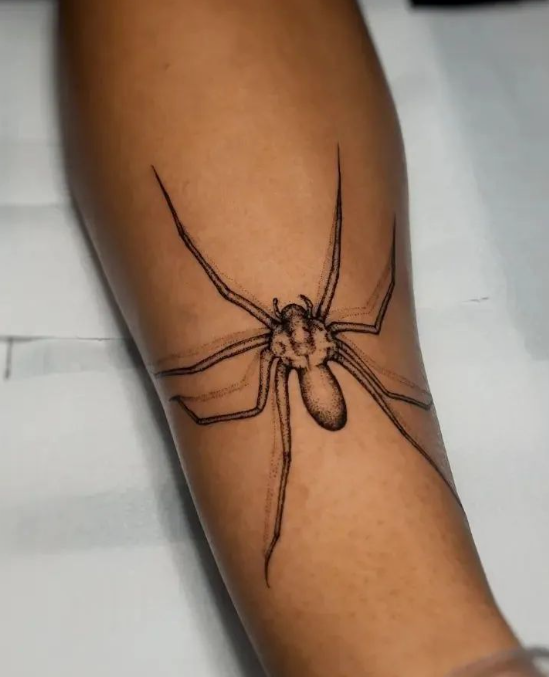 Hobo Spider Tattoo
