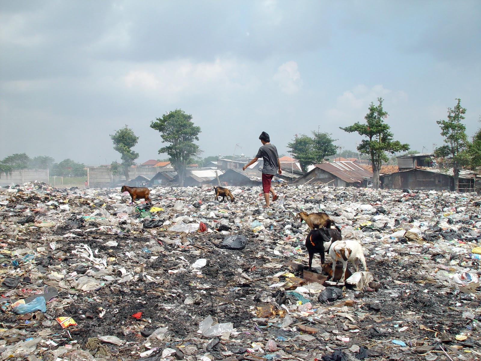 https://upload.wikimedia.org/wikipedia/commons/0/00/Jakarta_slumlife71.JPG