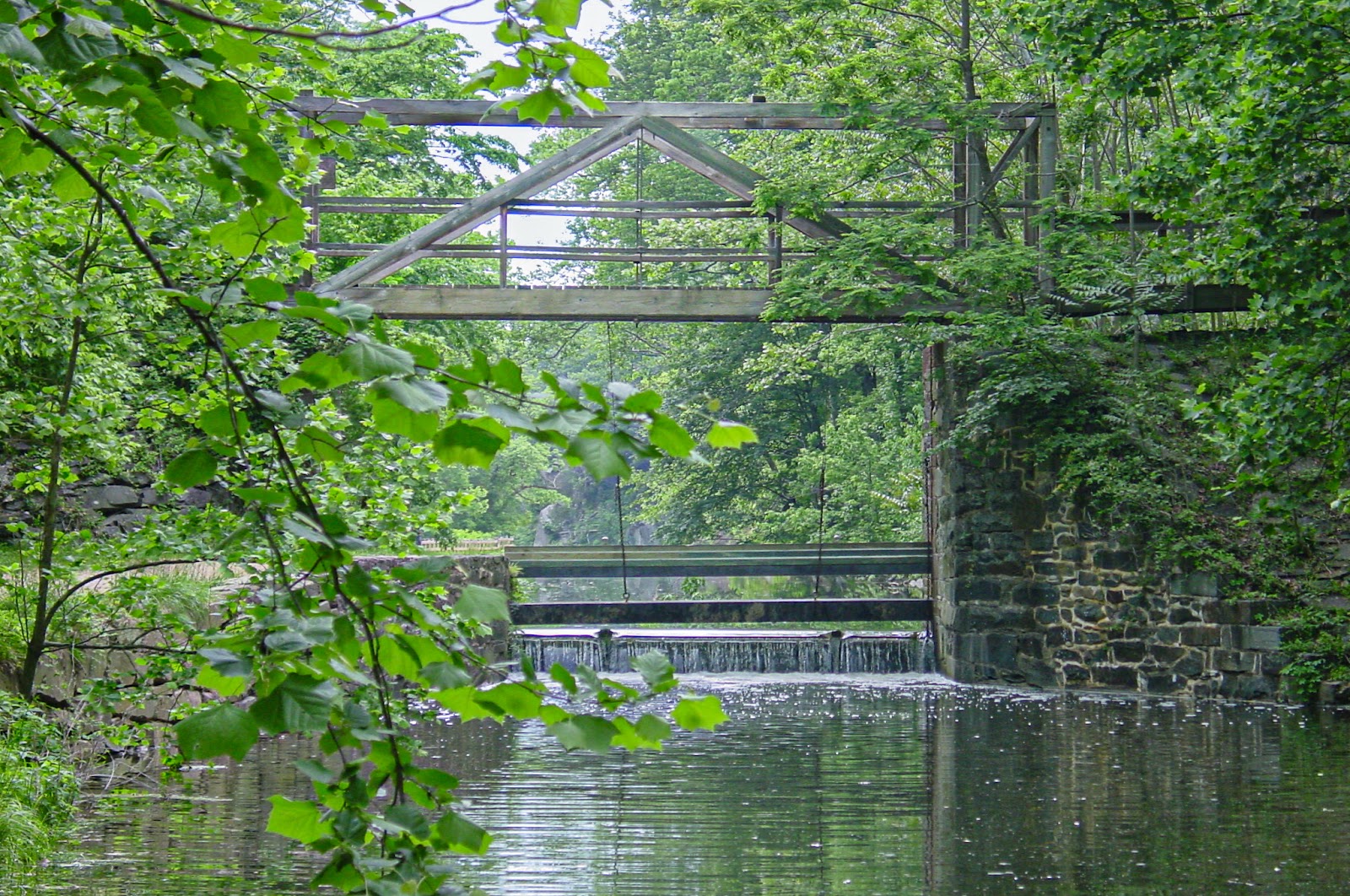 Water trickles over a weir with a wooden bridge above in thick woods. 