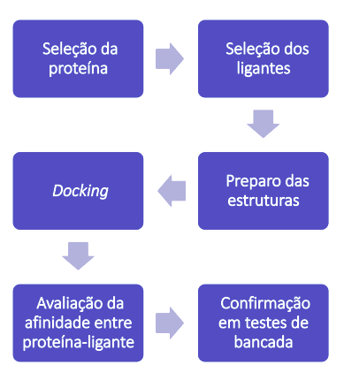 Esquema descrevendo as principais etapas do Molecular Docking.