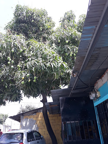 Cancha de Sintética El Tanque Hurtado - Guayaquil