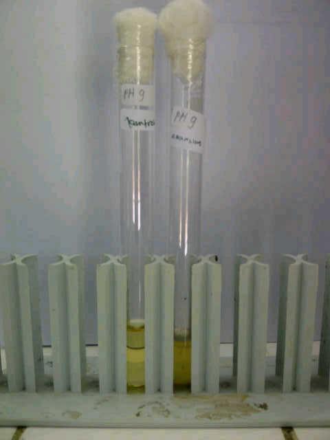 D:\My Documents\bahan kuliah\laporan mikro\foto praktikum\percobaan 5\asper9(1).jpg