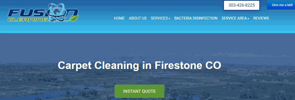 fusion carpet cleaners