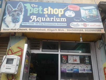 The Pet Shop & Aquarium - Pet supply store in Aligarh , India