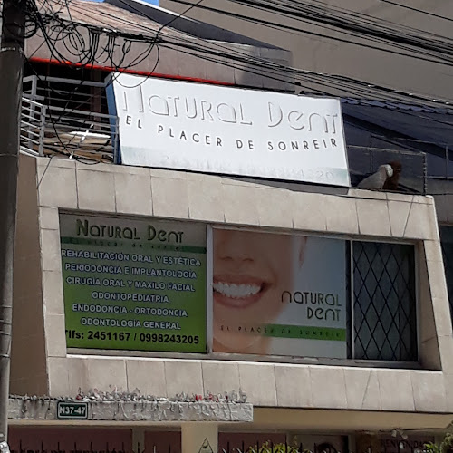 Natural Dent - Quito