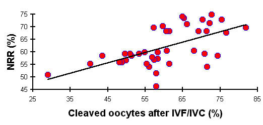 Relación (r= 0.59, P<0.001) entre la tasa (%) de clivaje zigótico (48 h post-FIV) y la fertilidad post-IA de las operaciones de congelación testadas (tasa [%] de no retorno al celo 56 días post-IA), 2-4 operaciones/toro, 15 toros (modificada, de [38]). 