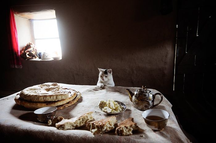 Looking Longingly At The Loaves