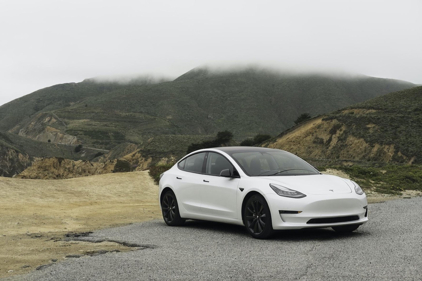 White Tesla with mountain background 