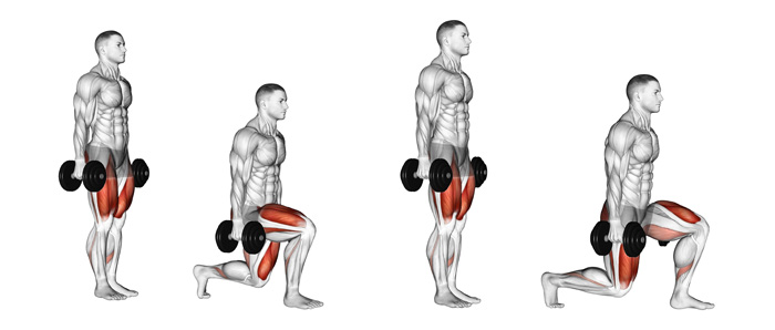 Dumbbell Lunges Muscles Worked