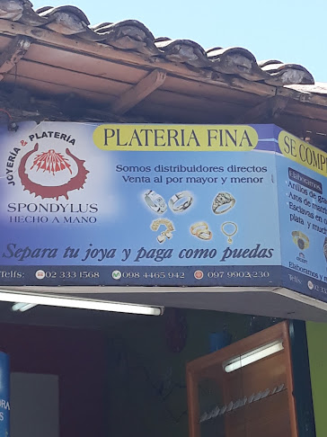 Joyeria y Plateria Fina spondylus