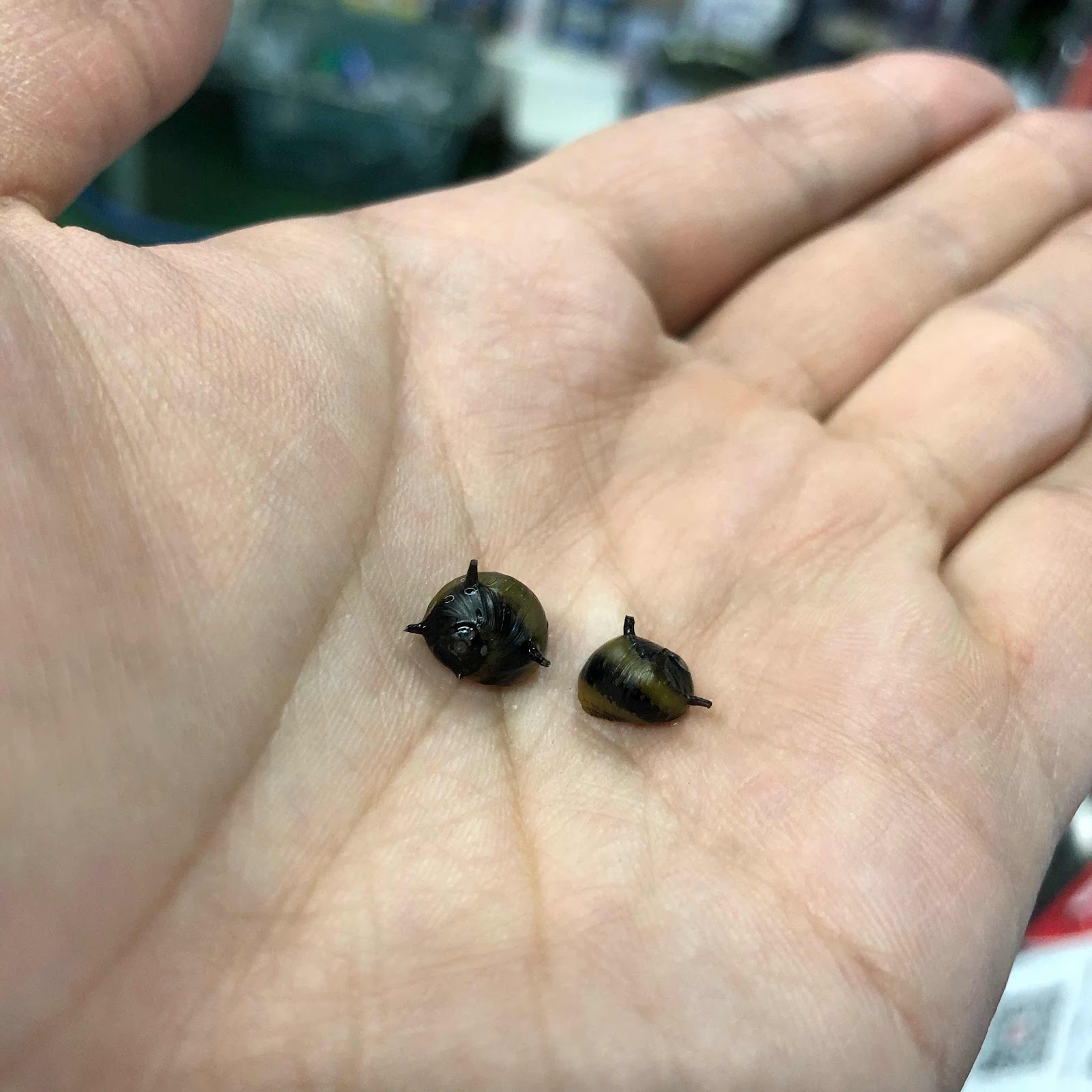 アクアテイク ｅ ブログ 4 5入荷情報