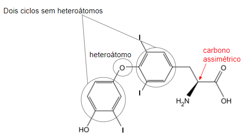 Imagem mostrando a presença de um heteroátomo na estrutura da molécula, a presença de dois ciclos homogêneos e a presença de um carbono assimétrico em que ele está ligado a um H, a um NH2, a um outro C e um grupo COOH