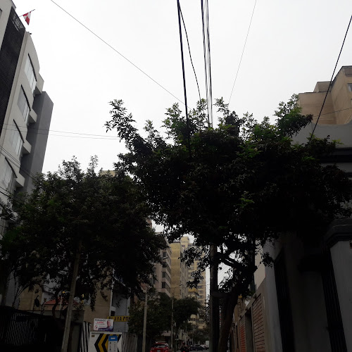 Calle Porta, Lima 15074, Perú