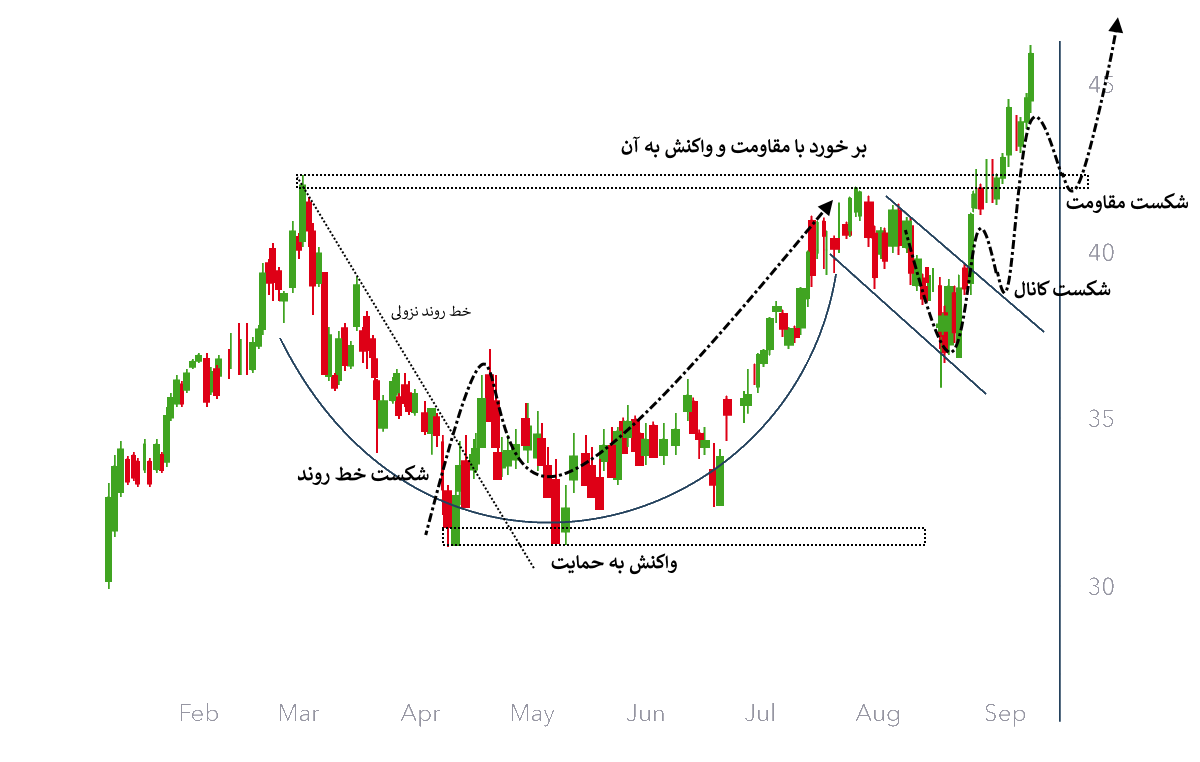 بررسی و تفسیر الگو فنجان