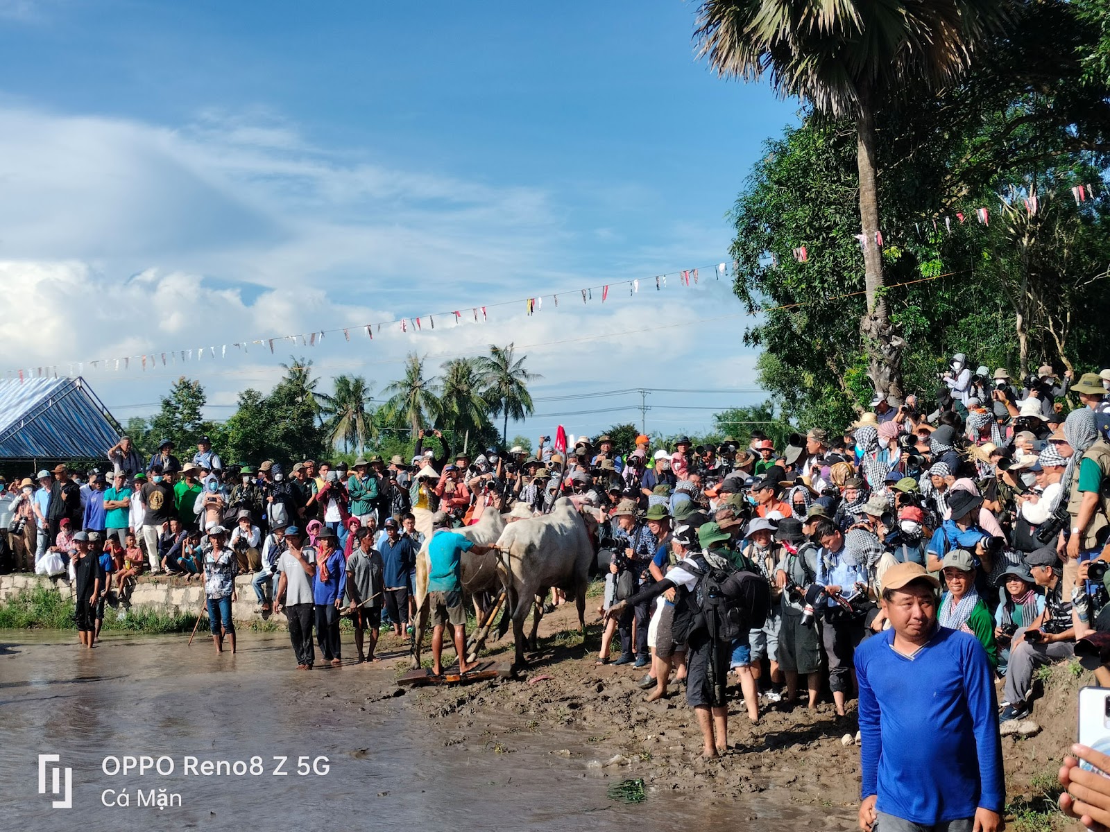 Chiêm ngưỡng lễ hội đua bò của đồng bào Khmer qua ống kính OPPO Reno8 Z 5G - 5pNDhgYfYvVG7PGVuskb1EmYDt6LV8 dUgPiaMtMIn1iBIx7dBeXGj4mlCH0iKjbp cA8GqUapcZ pskxtjEmXj UytAxDCo
