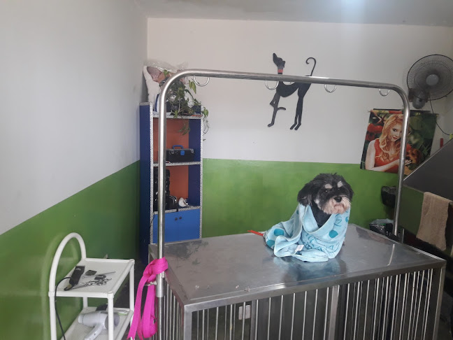Veterinaria & Spa Indoamerica - La Esperanza
