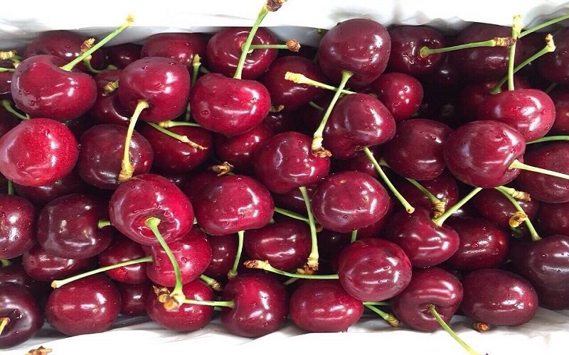 Cherry Mỹ được nhiều người ưa thích, nó có vỏ và thịt màu đỏ, giòn chắc