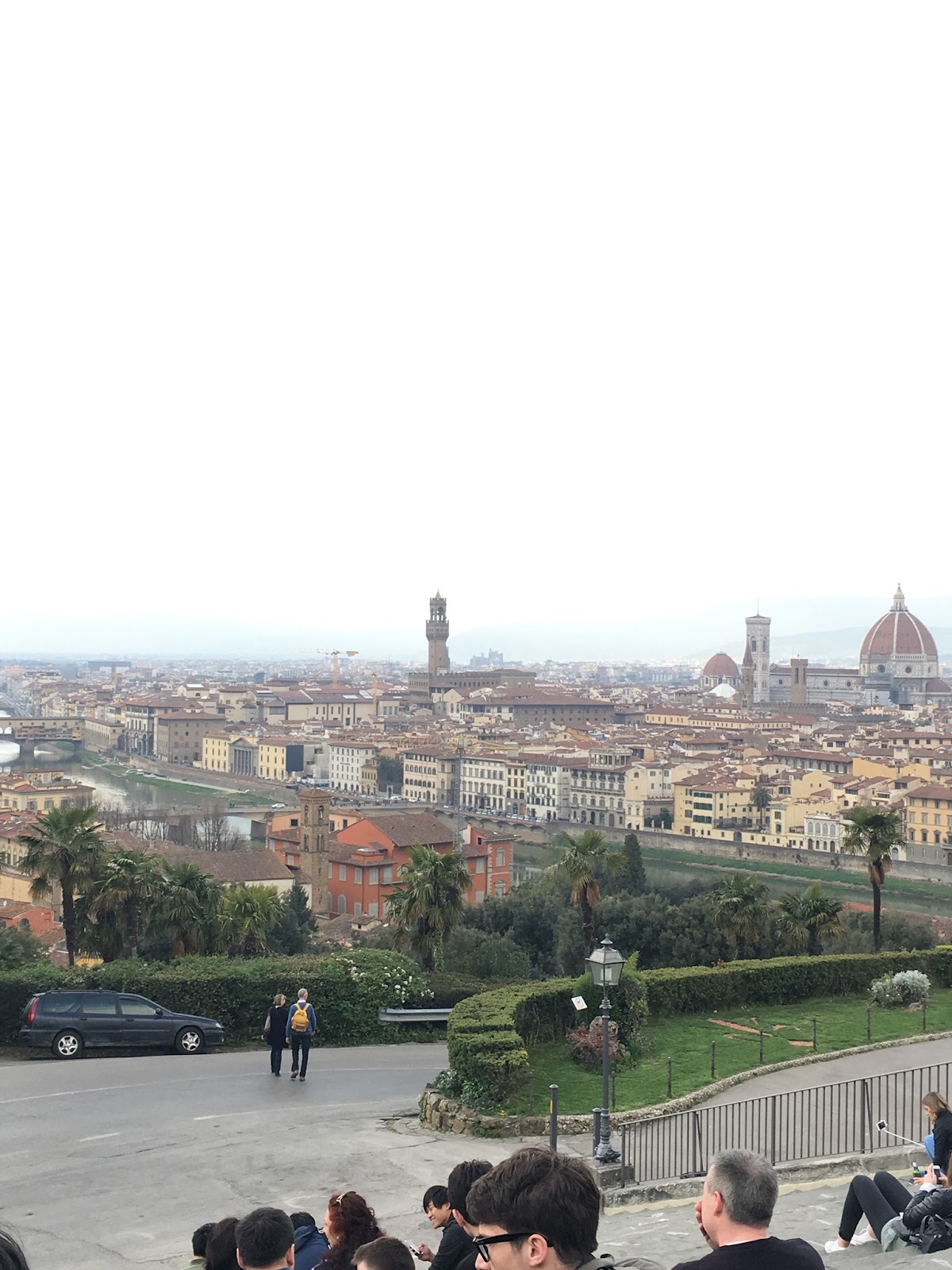 A skyline view looking down a hill at the old city of Florence