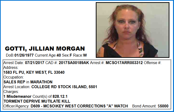M.C.S.O._Web_Arrest_Query_Search_Results_by_Name_-_2017-07-22_18.02.42.png