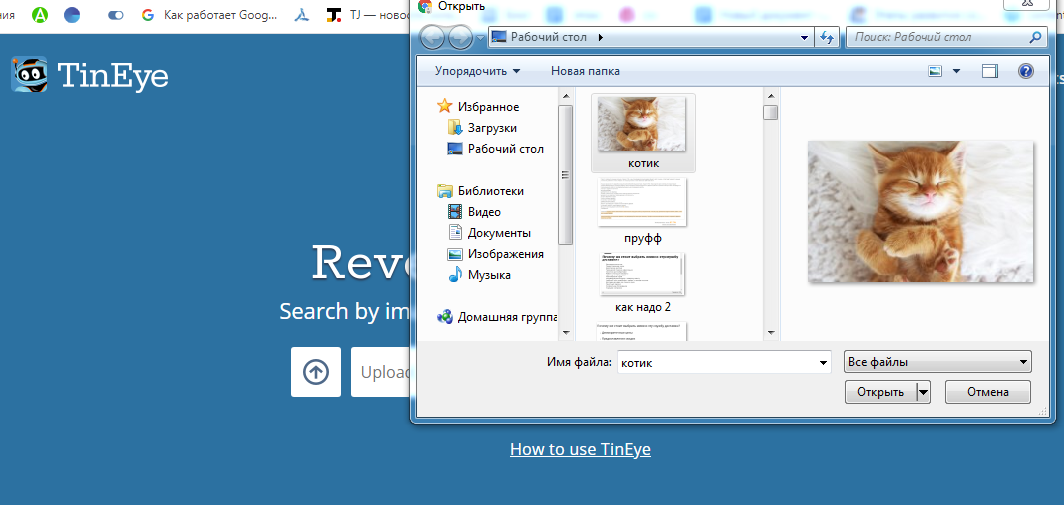 сервис по поиску картинок TinEye