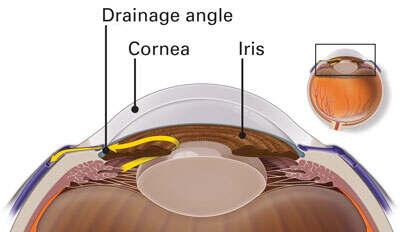 Diagram of Aqueous humor and Drainage Angle system of the eye