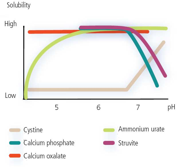 Solubility and pH