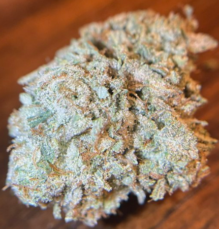 gorilla glue strain bud