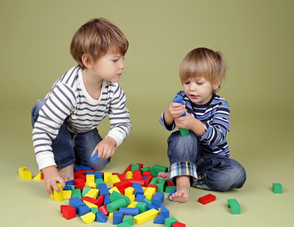 Two  kids sharing blocks