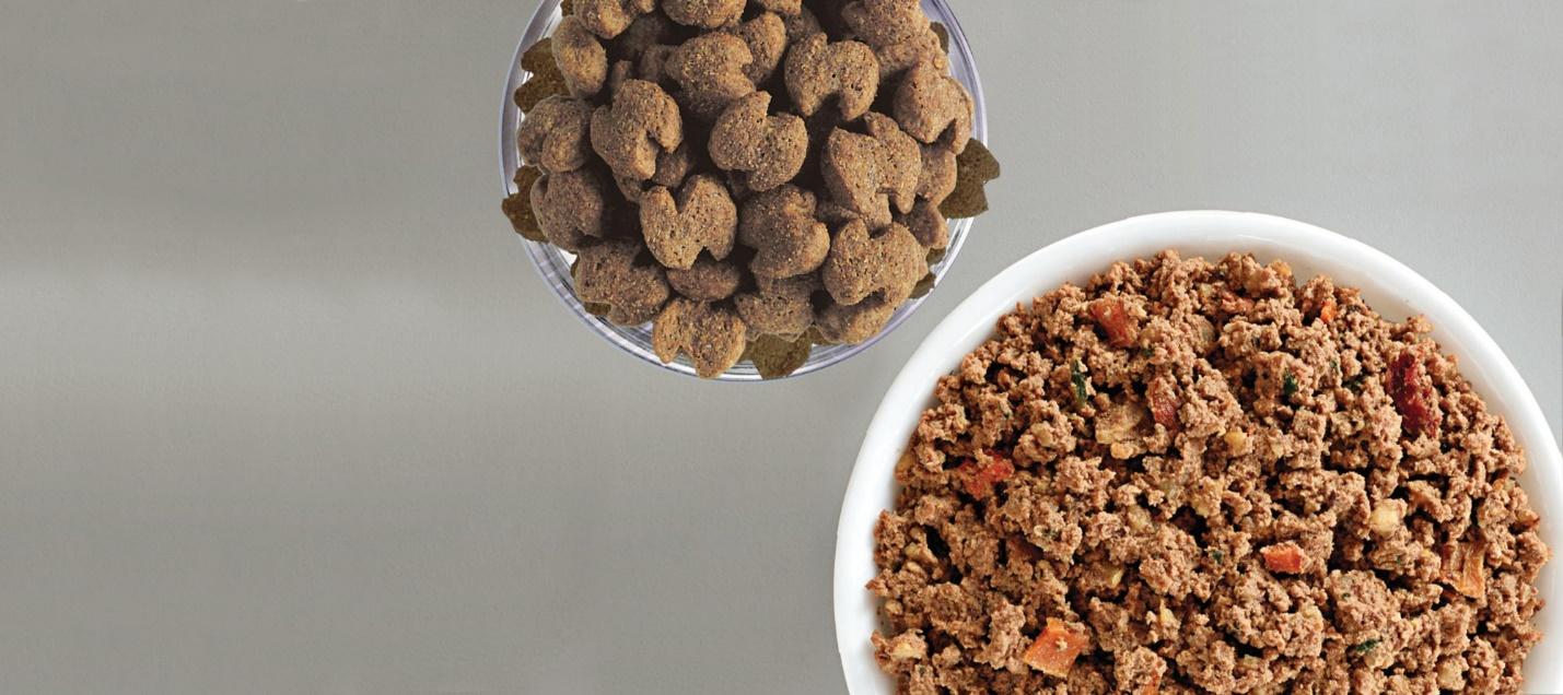 Is Wet or Dry Food Better for Dogs