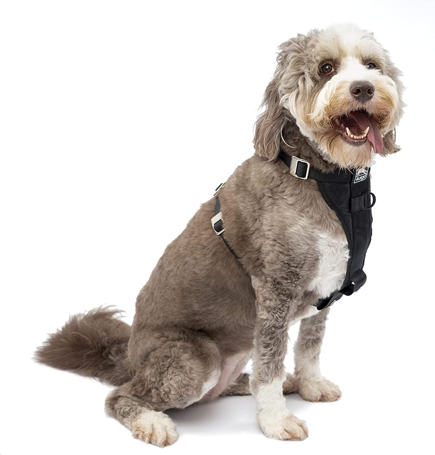 Kurgo Tru-Fit Dog Harness