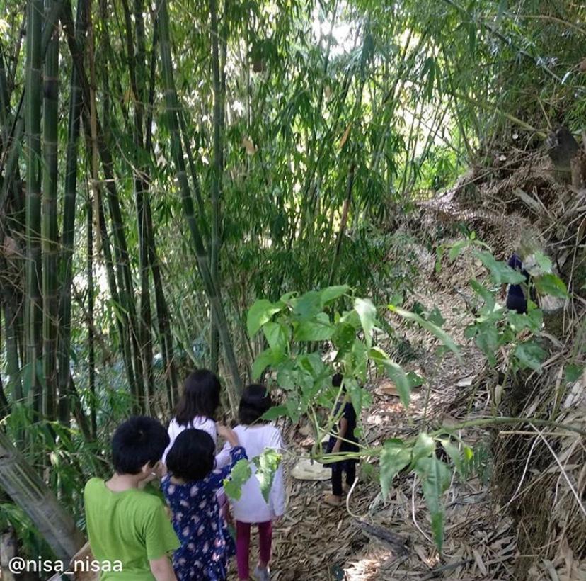 Motecareco Camp Lembang Parent Stories Liburan Anak 