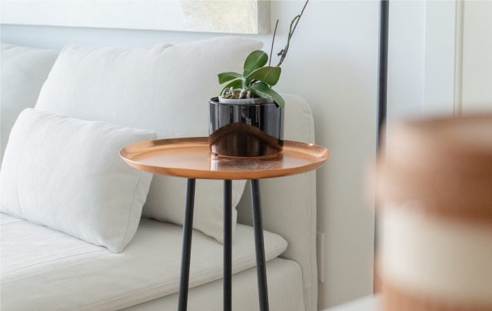 A feng shui end table with a plant on top