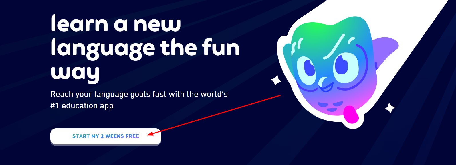 Duolingo Plus Discount 2024 50 OFF Promo Codes