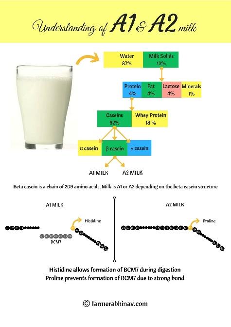 Pictorial comparison between A1 and A2 type milk.