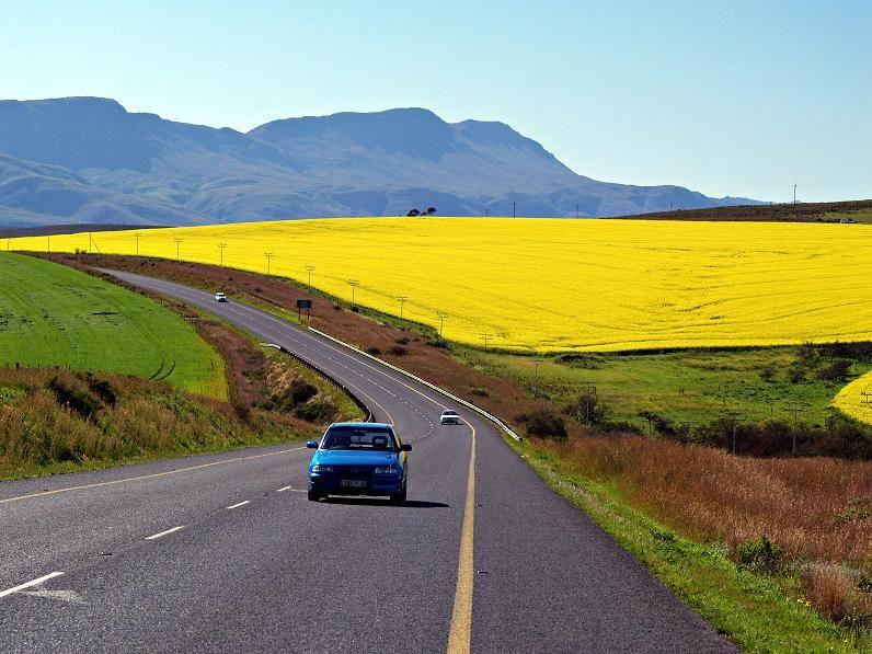 21 Garden Route - South Africa ideas | south africa, africa, south africa travel