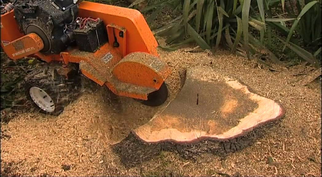 Stump Removal (Mechanical)
