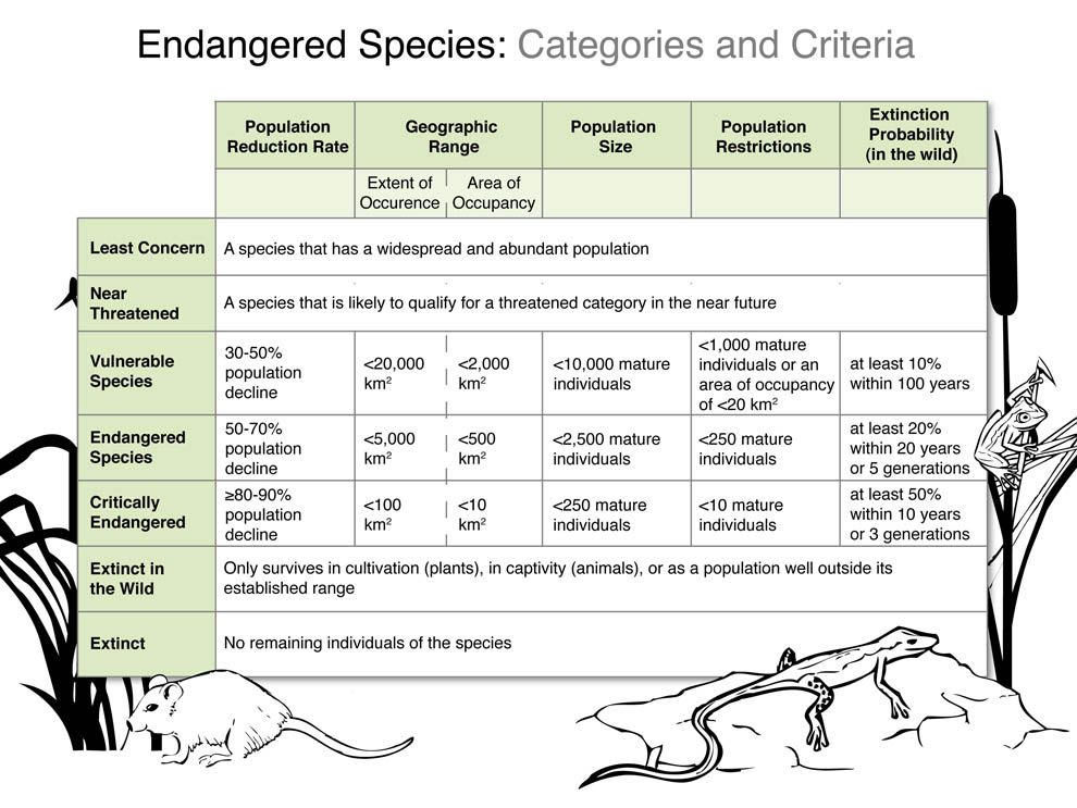 Endangered Species 
