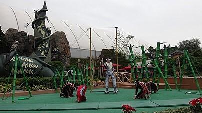 1569f70f8ce55d.jpg