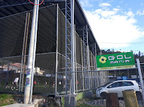 Gol Mania