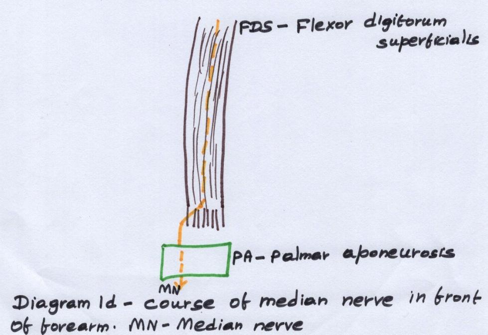 D:\Chitra Scans\Fig002 b.jpg