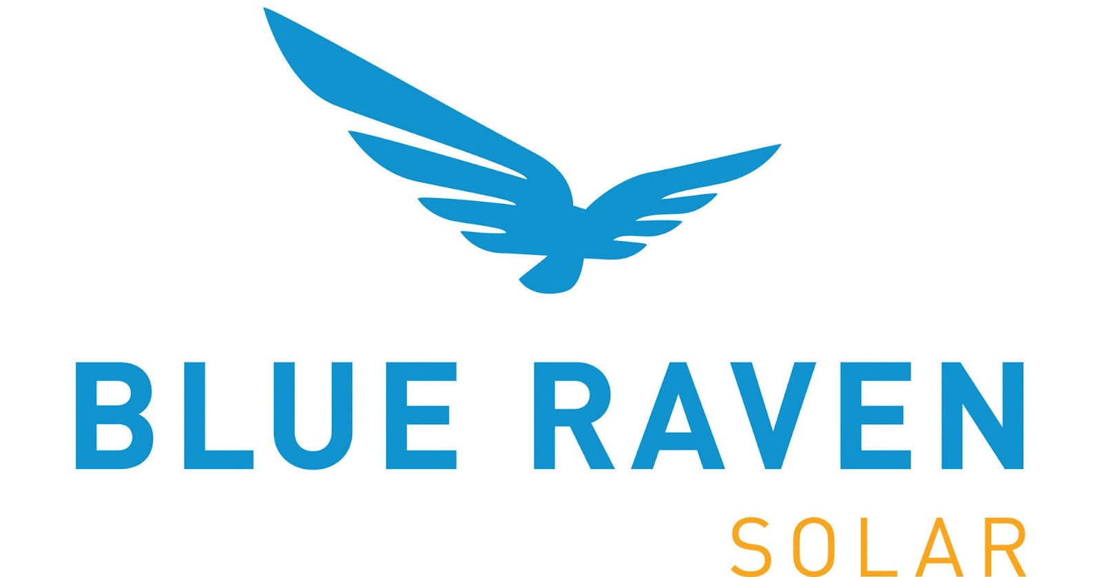 blue raven logo