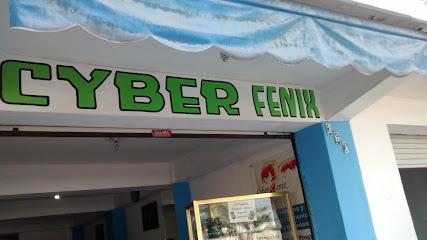 Cyber Fenix