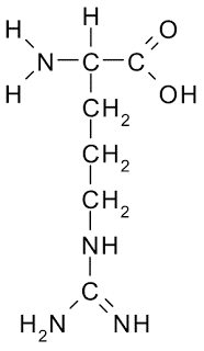 E:\Arginine.png
