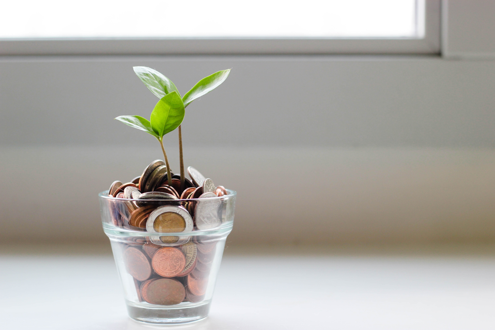 a glass full of coins with a plant
