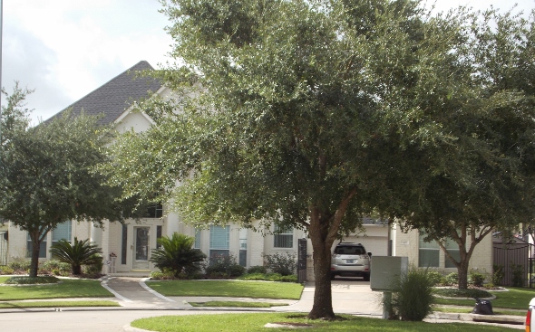 Easy Selling Tips to make Your Home Marketable in Katy 2015