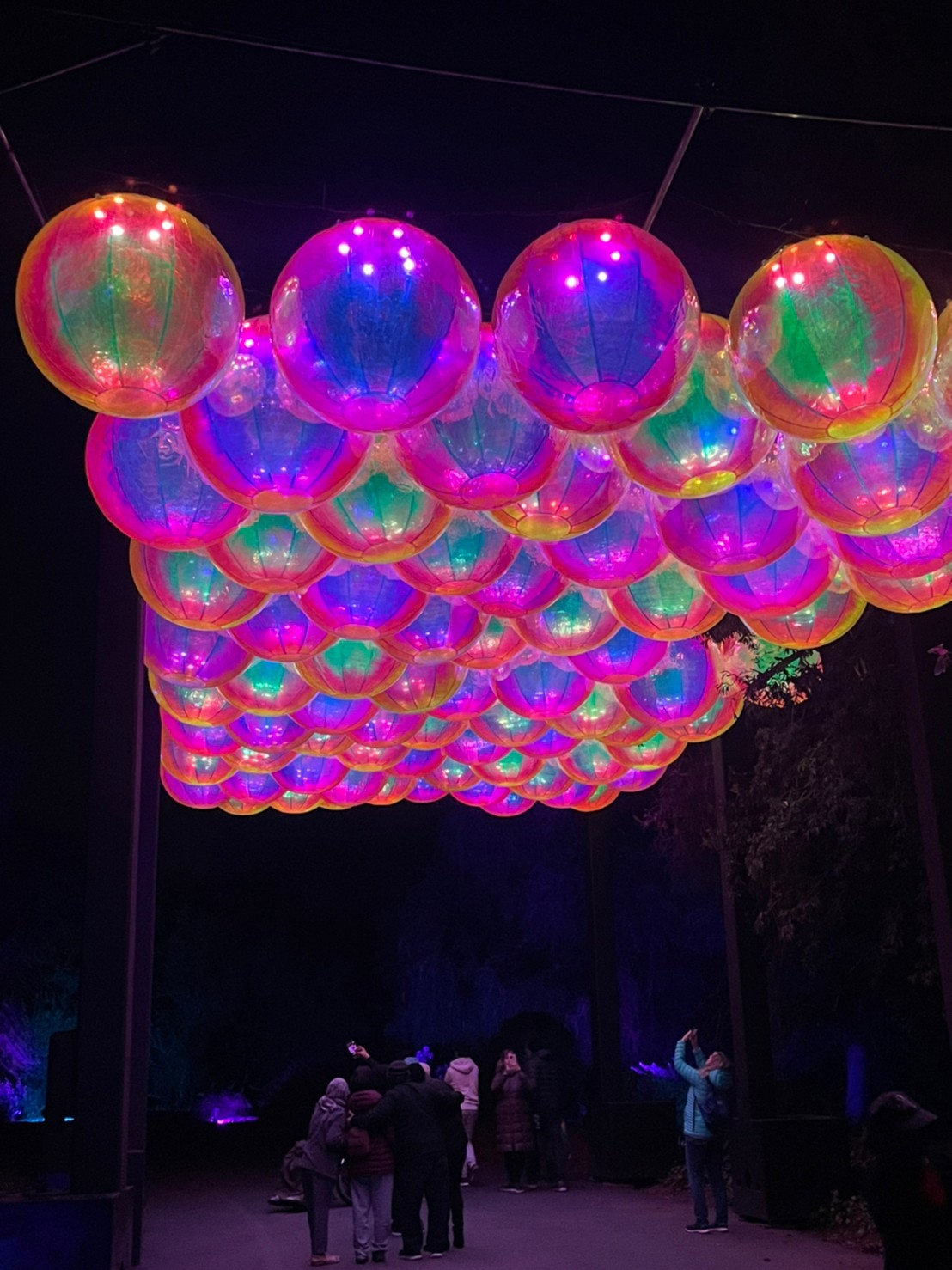 los angeles arboretum lightscape balls