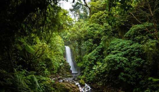 LaPaz Waterfall Costa Rica