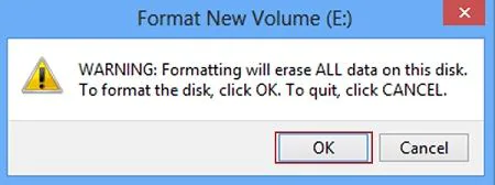 Format the disk drive