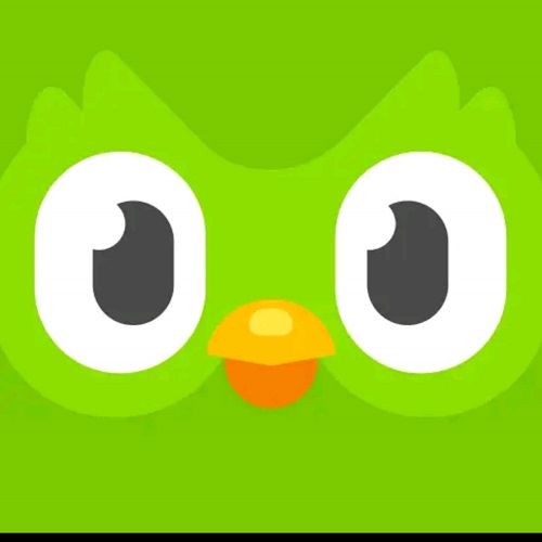 Duolingo,デュオリンゴ,アプリ,無料,有料,英語学習,外国語,使い方